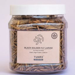 Natural High Protein Whole Dried Black Soldier Fly Larvae Treat – 100 g 0.1 kg Dry New Born, Adult, Young, Senior Fish Food-2
