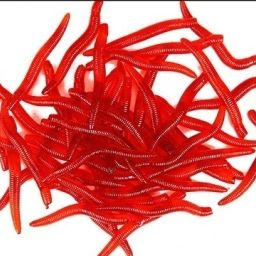 Soft Bait Silicone Fishing Lure-image-28