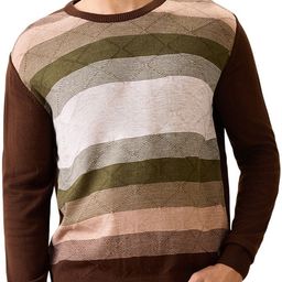 raymond Men Striped Round Neck Multicolor Sweater-picture-27
