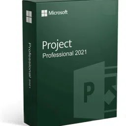 MICROSOFT Project Professional 2021 for Windows (1 User, Lifetime Validity)-2