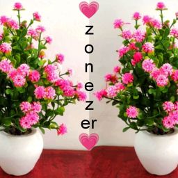 Set of 2 artificial flowers for home decoration Pink, Green Daisy Artificial Flowerwith Pot-0