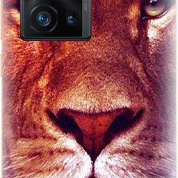Snooky Vivo X70 Pro Plus Mobile Skin-image-28