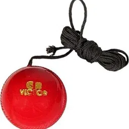 Hanging Cricket Ball Hockey Ball-image-55