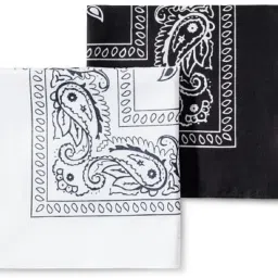Good Shopkeeper Black and White Paisley Pack of 2 Cotton Soft and Smooth Handkerchief ["Black and White"] Handkerchief-image-83