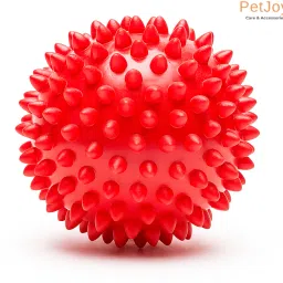 Hard Spike ball for dogs | Color may Vary Rubber Ball For Dog & Cat-image-31