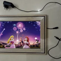 , CINDERELLA MODAL NO-47 , 15.5 inch LED PHOTO FRAME-14