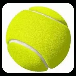 jai shri New-Tennis _295Pack of 6 Tennis Ball-picture-35
