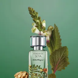 Salvatore Ferragamo Foreste Di Seta Long Lasting Eau De Parfum - 50ml-picture-11