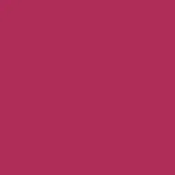 RENEE Stay With Me Matte Lip Color - Pride Of Magenta 5ml image 4