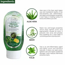 Globus Remedies Set of 3 Purifying Aloe Vera Neem Tulsi Face Wash - 100 ml Each image 2