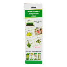 Shane Wheat Grass & Giloye Stem Juice, Enriched with Aloevera + Amla Juice & Tulsi 500 ml image 2