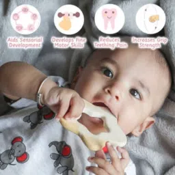 shreeja shilpcraft Made with Natural Neem Wood Combo pack of 4 shapes Teether image 3