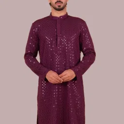 Men Chikan Embroidery Cotton Blend Straight Kurta-image-25