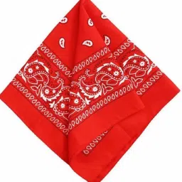 Men Printed Bandana-image-51