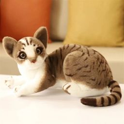 Cat Soft toys pet Animal Toy for Kids and Birthday Gift Toys- 34 cm-image-20