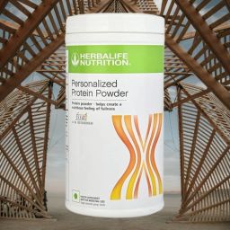 H HERBAAAL PROTEIN POWDER 400GM DIGESTIVE HEAAALTH UNFLOWER Powder-image-76
