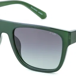Polarized Wayfarer Sunglasses (54)-image-18