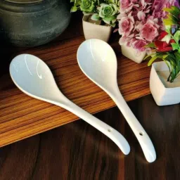 Serving Spoon Set Microwave Oven Dishwasher Safe - 9" inch, Pack of 2 (White) Disposable Ceramic Serving Spoon Set-73