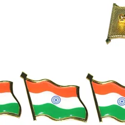 Indian Tiranga Badge Windsock Body Flag-image-47