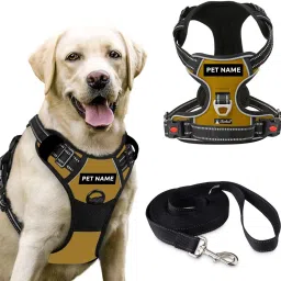 Double Side/Body Ajustable Dog Harness with Leash Dog Collar & Leash-26
