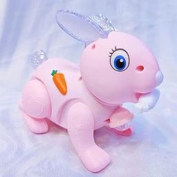 Walking Rabbit-image-43