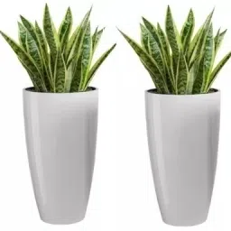 HOUSEWARE Plastic Tower Pot 8.5 inch Flower Pot for Home office Garden Balcony Plant Container Set-41