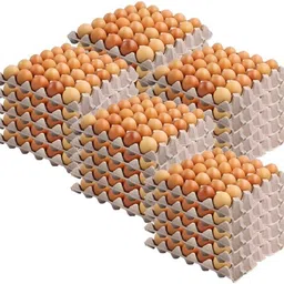 dsom Egg holder Egg Holder-picture-26