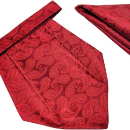 VOICI Men's Paisley Maroon Color Pocket Square Cravat-image-38