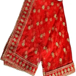 Net Embroidered Red, Beige Women Dupatta-picture-16
