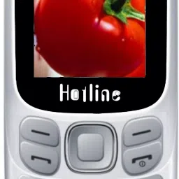 H312-picture-23