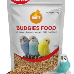 All Life Stages Bird Food for Budgies - Mix Seeds, Medium, 1200 g 1.2 kg Dry Adult Bird Food-1