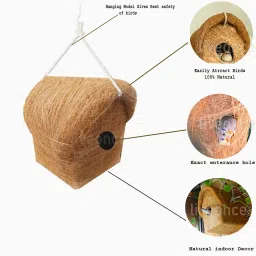 liveonce NATURAL BIRD HOUSE WITH HANGING HOOKS U CAN PLACE ANYWHERE PACK OF 1 Bird House image 4