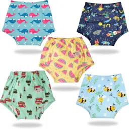 Padded Underwear-Pack Of 5 Potty Training Pants for Babies/ Toddlers/ Kids-24