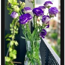 Bukey Flower Purple Rose By Home Decor Natural Morden & Unique Painting Acrylic 14 inch x 10 inch Painting-35