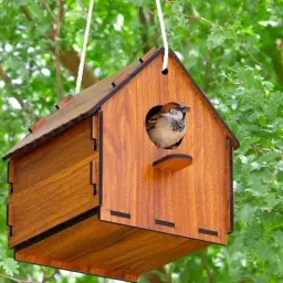 Bird House for Sparrow, Budgies & Finches with Air Ventilation Bird House-image-49