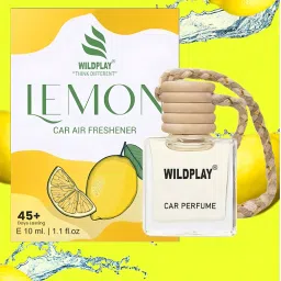 Lemon Car Hanging Perfume Diffuser-image-34