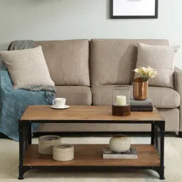 bohemiana from pepperfry Atencio Metal Coffee Table In Natural Finish-picture-4