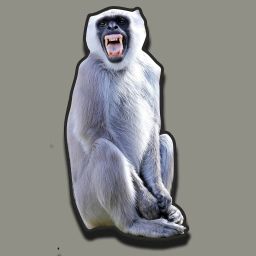 ,Cutout (Monkey) 24x16 inch 5mm Sunpack( Unbreakable ) gloss laminate | eyelet. Polypropylene Cut-outs-image-23
