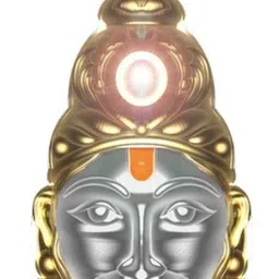 Mantra Siddh Gold Plated Shri Hanuman Chalisa Yantra Locket Hanuman Kavach Brass Yantra-image-9
