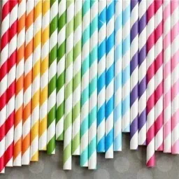Straight Drinking Straw-image-79