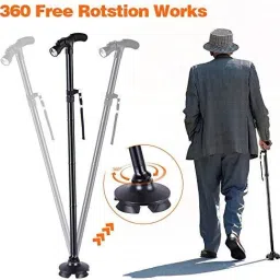 st447 Walking Stick-picture-20