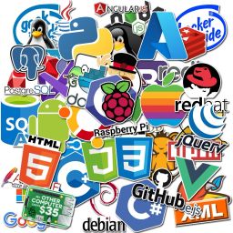 dzazner 50 Pcs Software Programming Languages Waterproof Vinyl Laptop Decal Skin Sticker Self Adhesive Vinyl Laptop Decal 15.6-22
