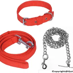 Good Quality Red Belt Collar Belt Dog Leash Steel Chain Dog Collar & Chain Dog Collar & Chain-24