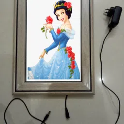 , CINDERELLA MODAL NO 2 , 15.5 inch LED PHOTO FRAME-25