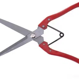 Sheep Wool Scissor Sheep hair cutting Scissor Steel Pet Hair Trimmer Horse Clipper Blade-image-17