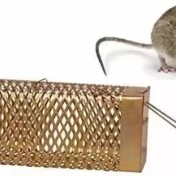 1 Rat Trap Pinjra Catch Rat Trap Catcher/Traper/Mouse Cage pinjra Live Trap-image-83