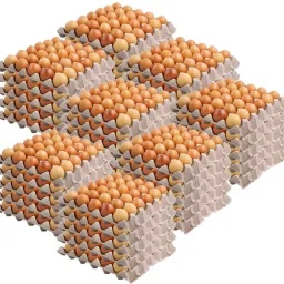 Egg holder Egg Holder-image-22