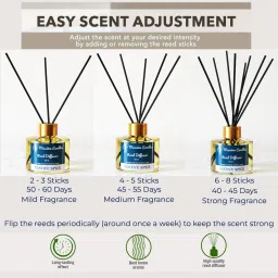 maxime candles Festive Spice Reed Diffuser with 8 Fiber Reed Sticks | Room Air Freshener Diffuser Set image 3
