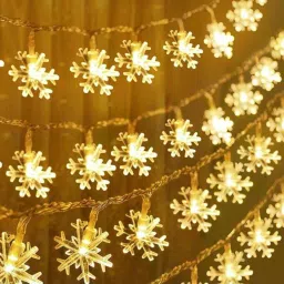 20 LEDs 8 m Gold Steady Flower Rice Lights-24