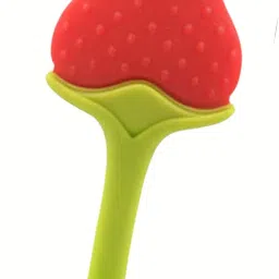 babylib Fruitnibbler /TEETHER/soother BOPPFREE Silicon Teether and Feeder image 4
